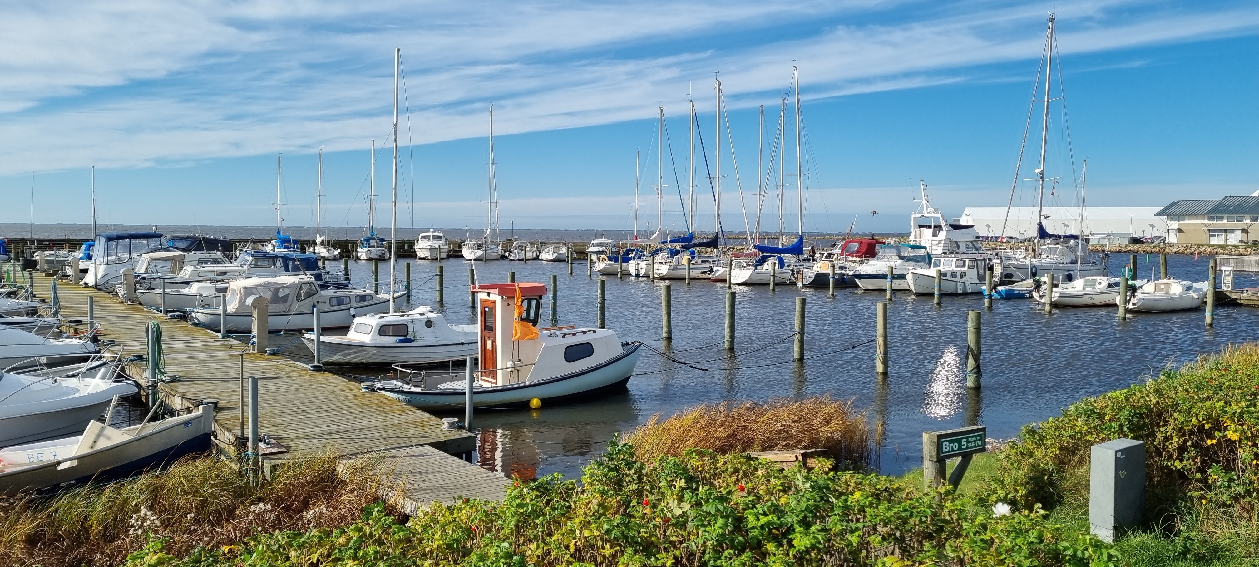 Ringkøbing havn