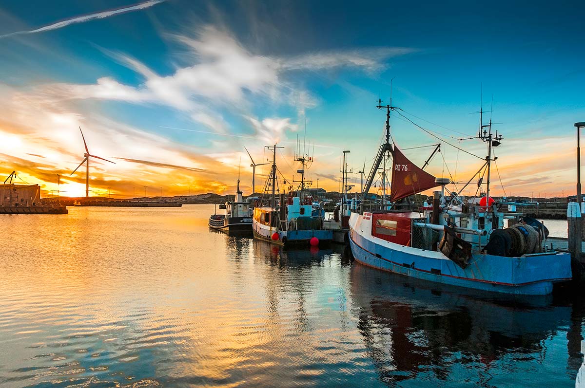 solnedgang havn hvide sande